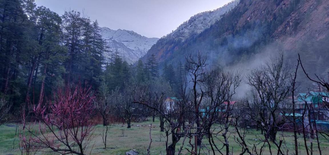 Hotel The Royal Orchard Kasol Exterior foto
